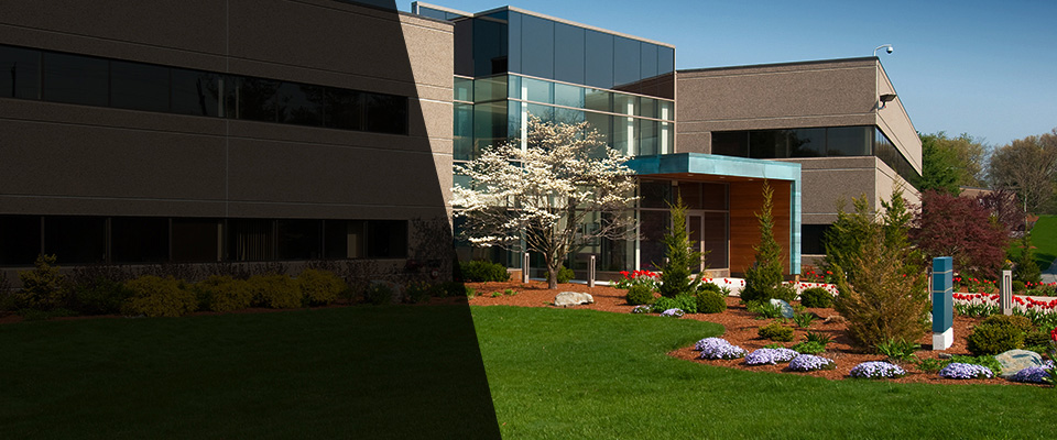 Port Saint Lucie Landscapers