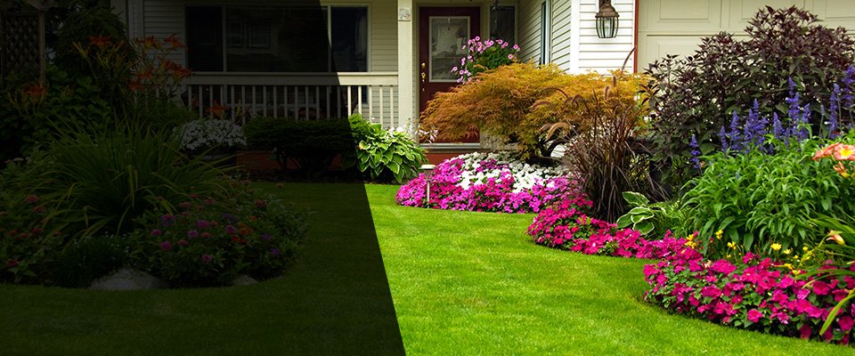 Port Saint Lucie Landscapers
