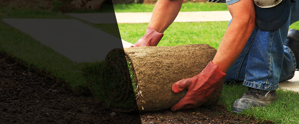 Port Saint Lucie Landscapers